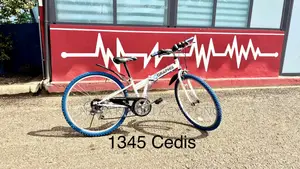 Graphics Folding Bicycle for Sale