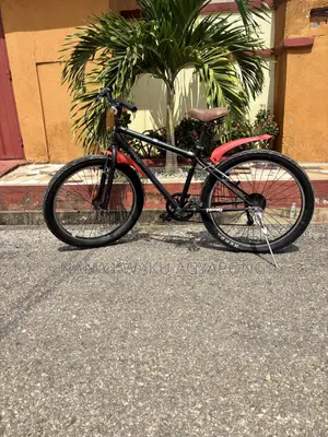 Thrashed Fat Bike Selling Fast