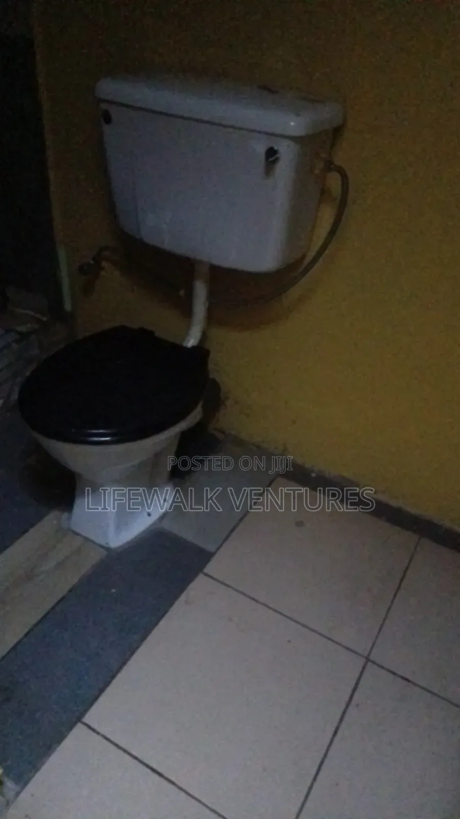 1bdrm Apartment in Social Welfare, for rent