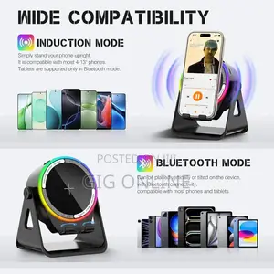 Wireless Induction Speaker