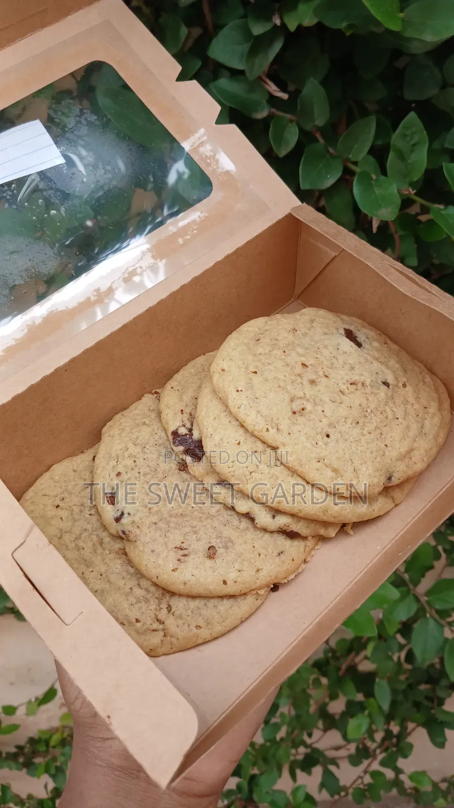 Chocolate Chip Cookies