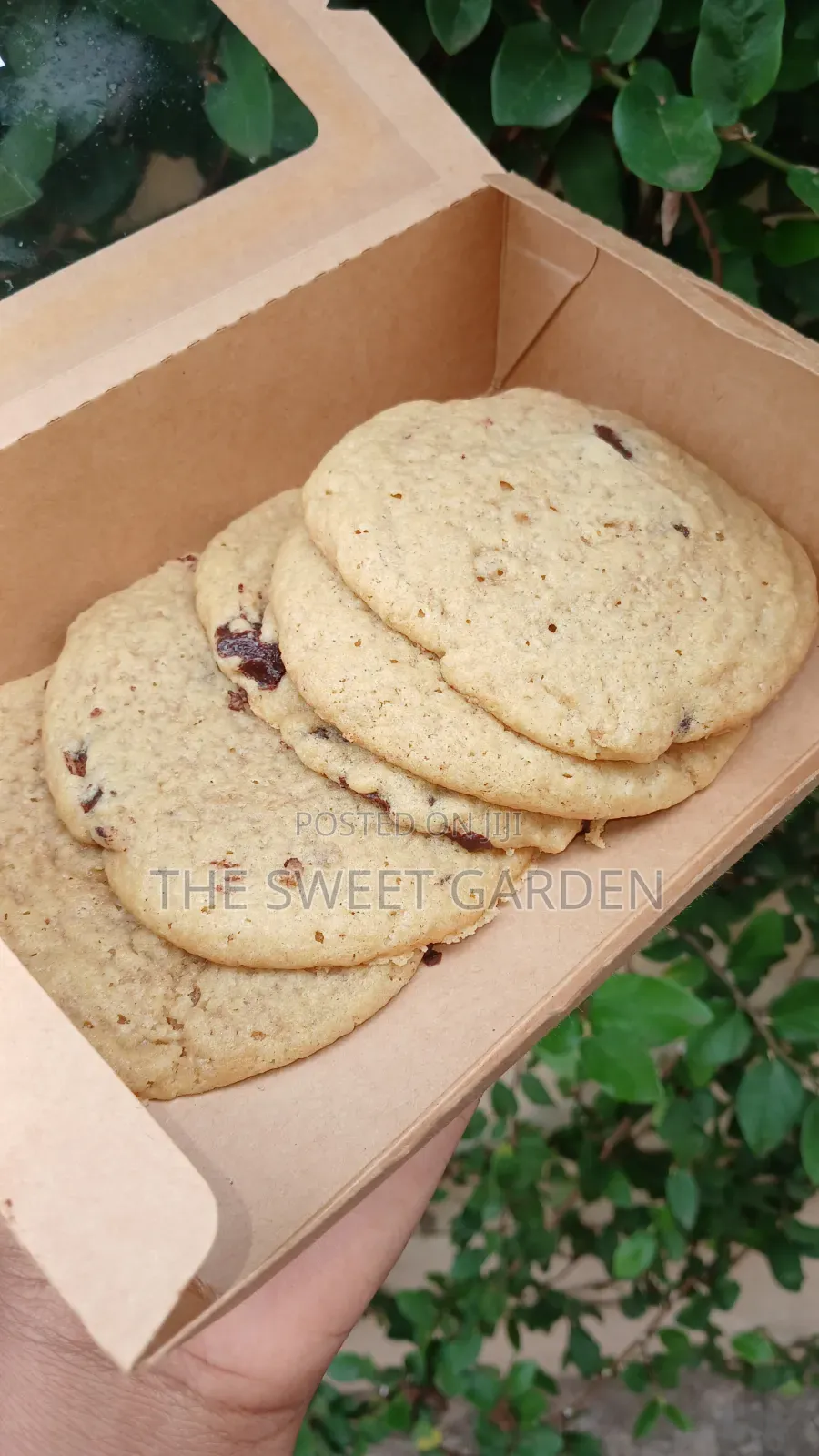 Chocolate Chip Cookies