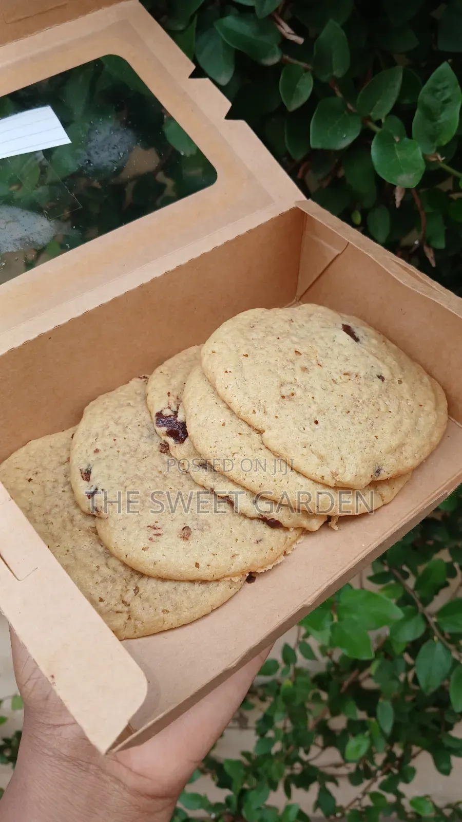 Chocolate Chip Cookies