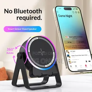 Portable Wireless Induction Speaker