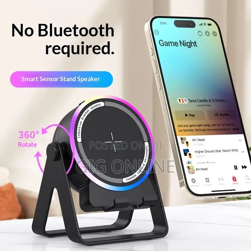 Portable Wireless Induction Speaker