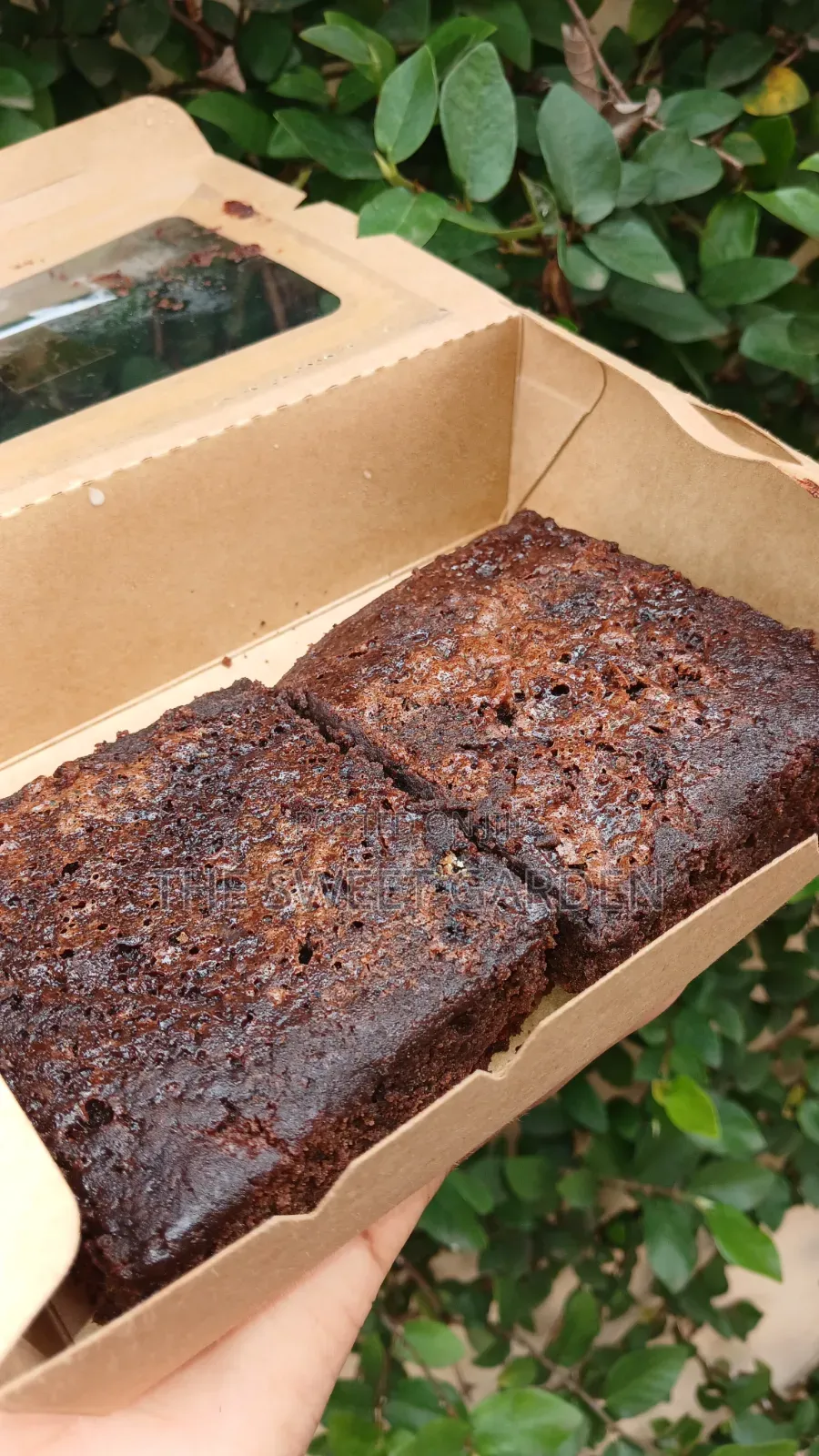 Chocolate Brownies