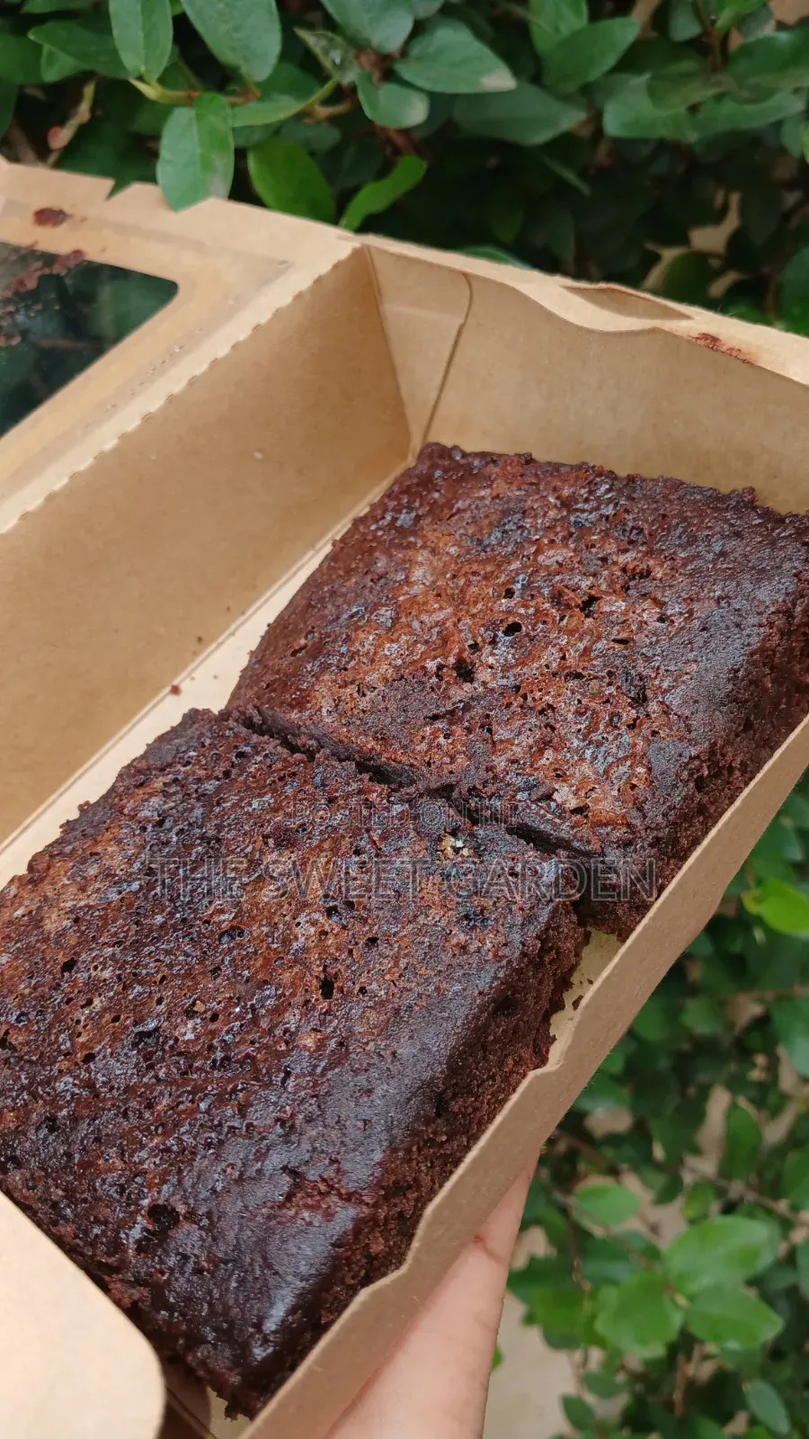 Chocolate Brownies