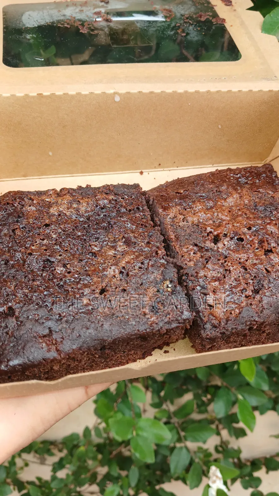 Chocolate Brownies