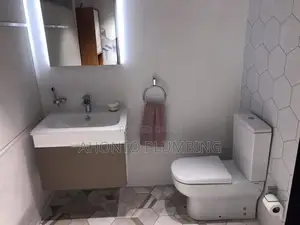 Professional Plumbing Services You Can Trust!