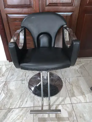 Salon Chairs
