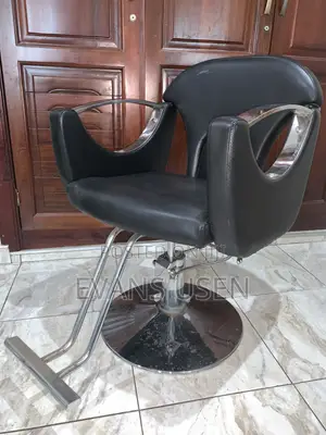 Salon Chairs
