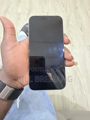 Apple iPhone 15 Pro Max 256 GB Silver