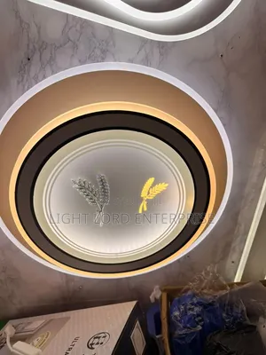 Shape Animated Series Ceiling Light 2color