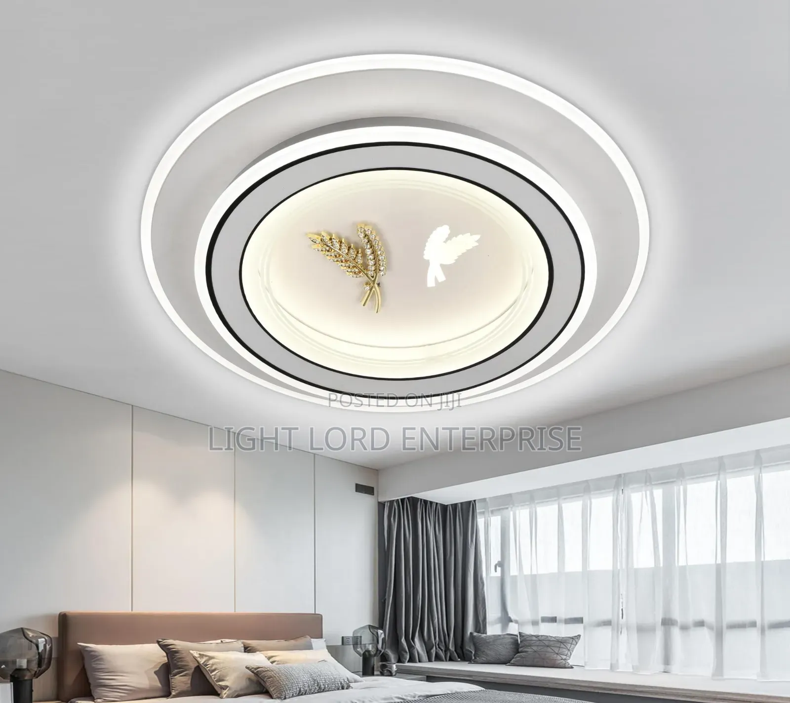 Shape Animated Series Ceiling Light 2color