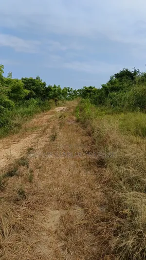 100 X 70 Serviced Land