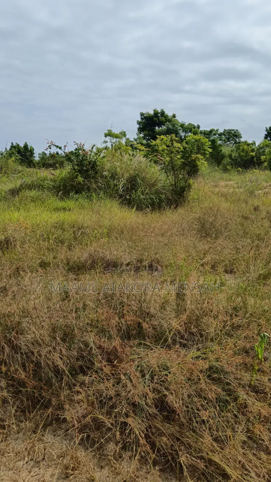 100 X 70 Serviced Land
