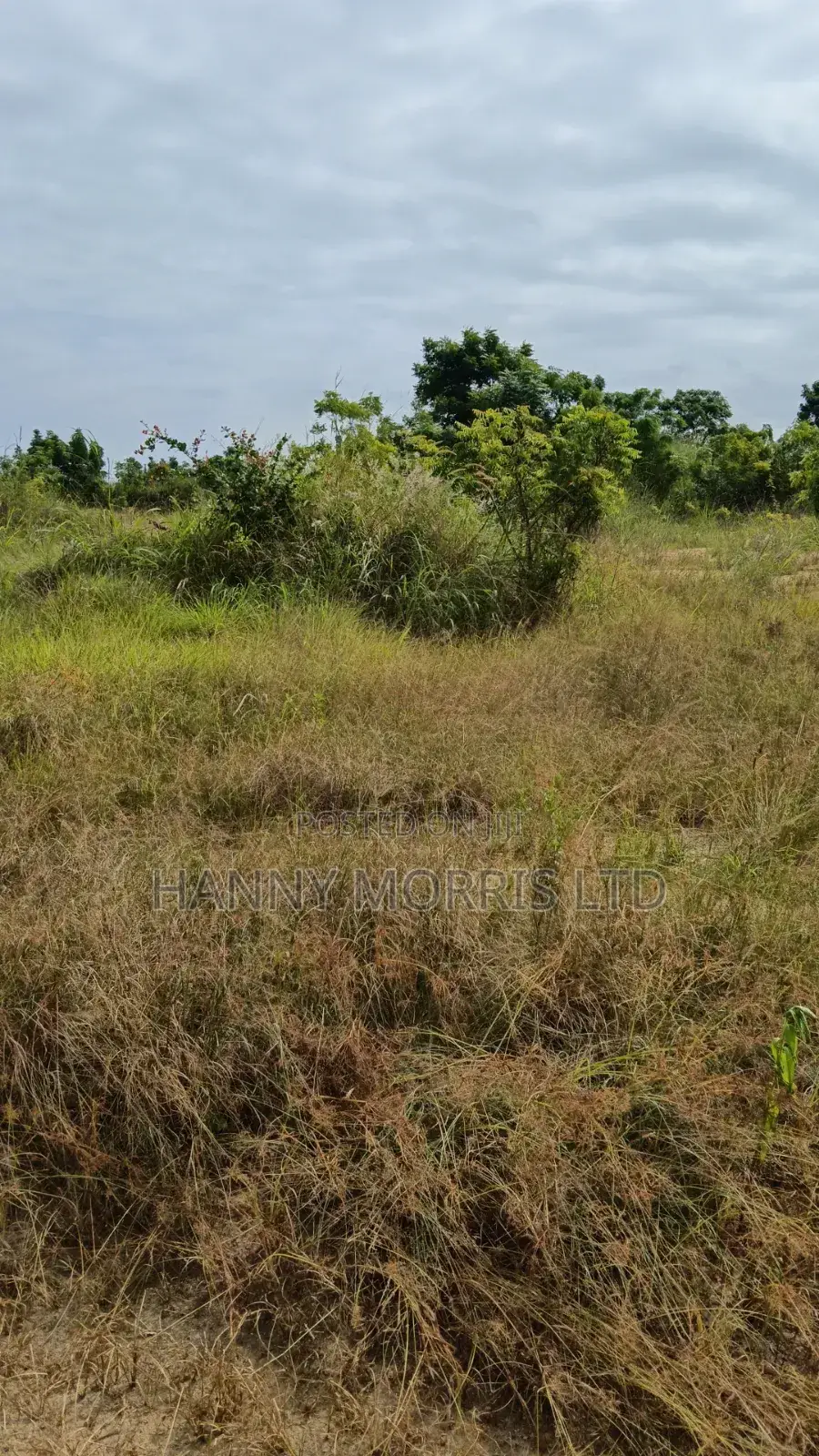 100 X 70 Serviced Land
