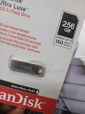 Sandisk 256Gig Pendrive