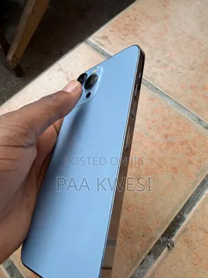 Apple iPhone 13 Pro Max 256 GB Blue