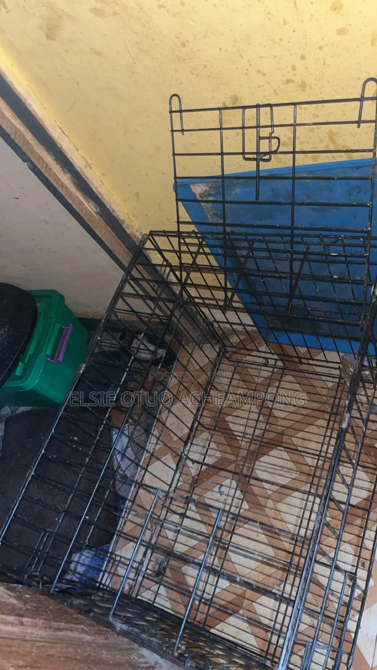 Dog Cage With Free Accessories