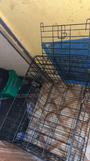 Dog Cage With Free Accessories