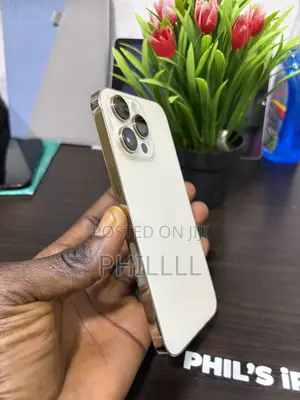 Apple iPhone 14 Pro Max 256 GB Gold