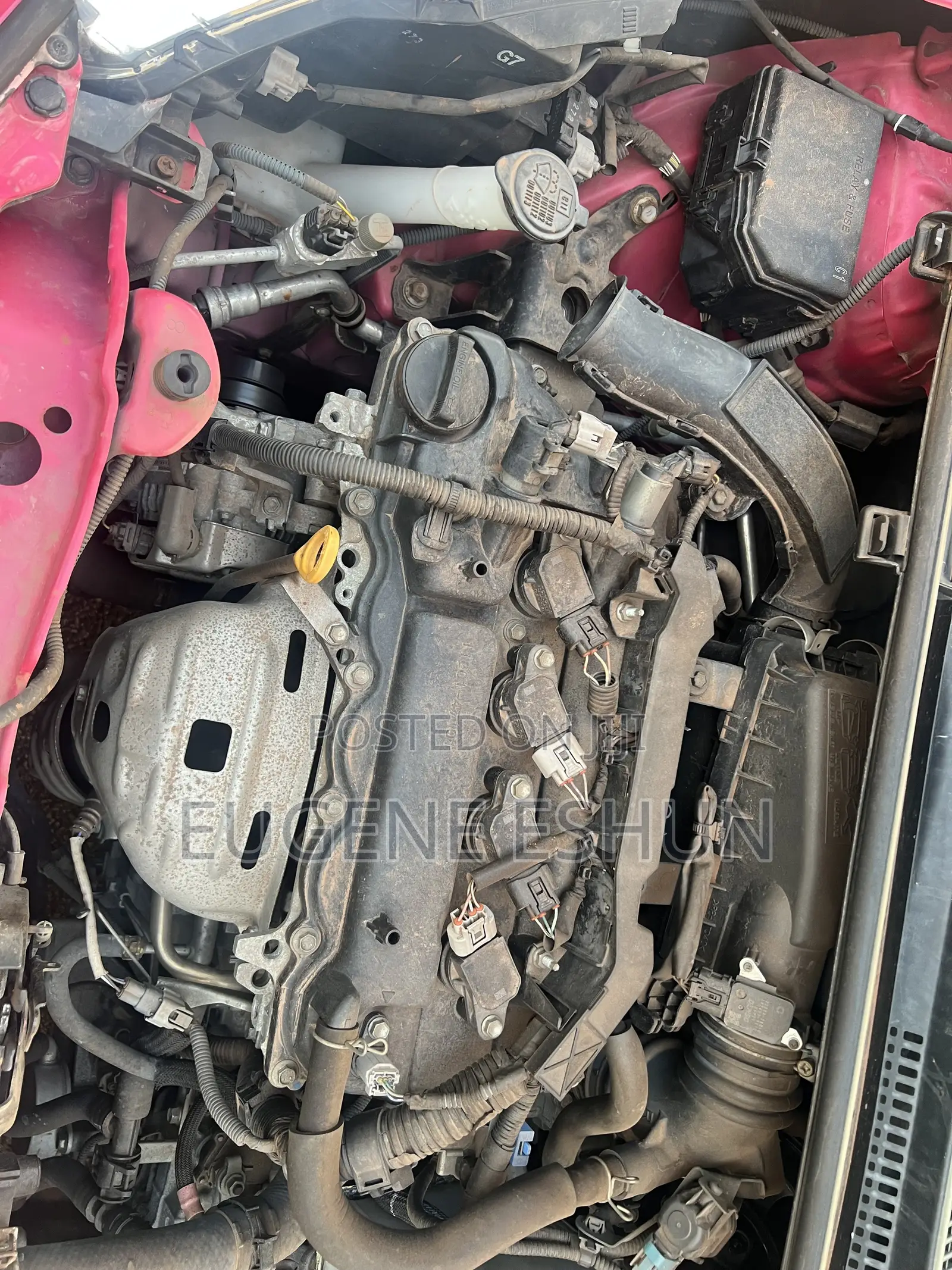 Toyota Vitz 2012 Pink