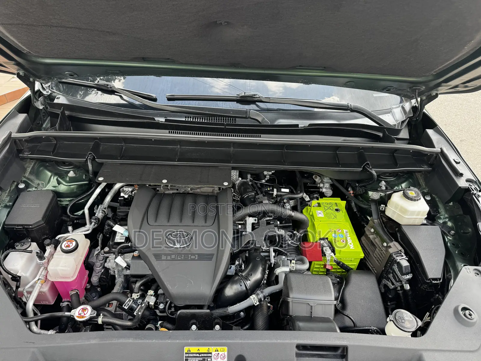 Toyota Highlander XLE AWD 2023 Green