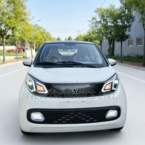 BYD Electric Car Ch