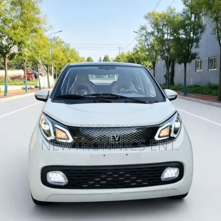BYD Electric Car Ch