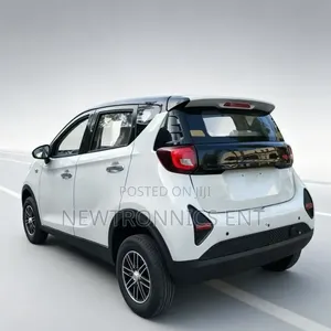 BYD Electric Car Ch