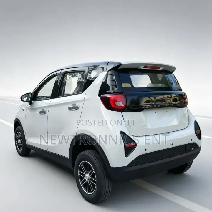 BYD Electric Car Ch