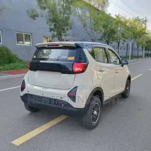 BYD Electric Car Ch