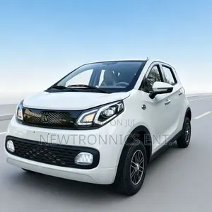 BYD Electric Car Ch