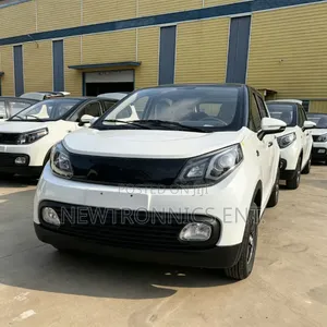 BYD Electric Car Ch