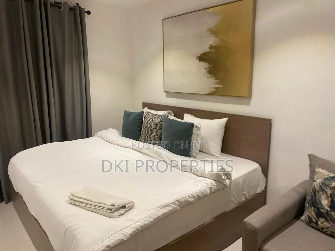 Furnished Studio Apartment in Dki Properties, Airport Residential Area