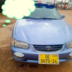 Toyota Corolla 2002 Purple