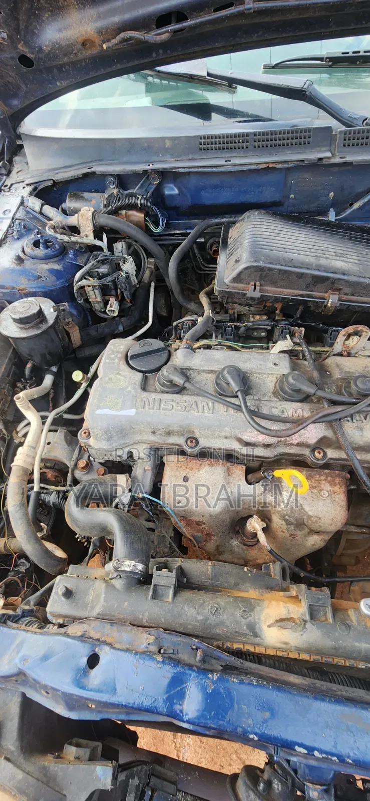 Nissan Almera 2005 Blue