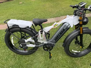 New Motorcycle 2025 Gray