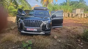 Hyundai Palisade 2020 Black