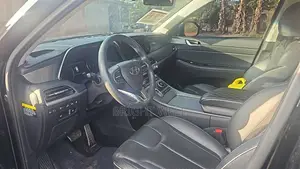 Hyundai Palisade 2020 Black