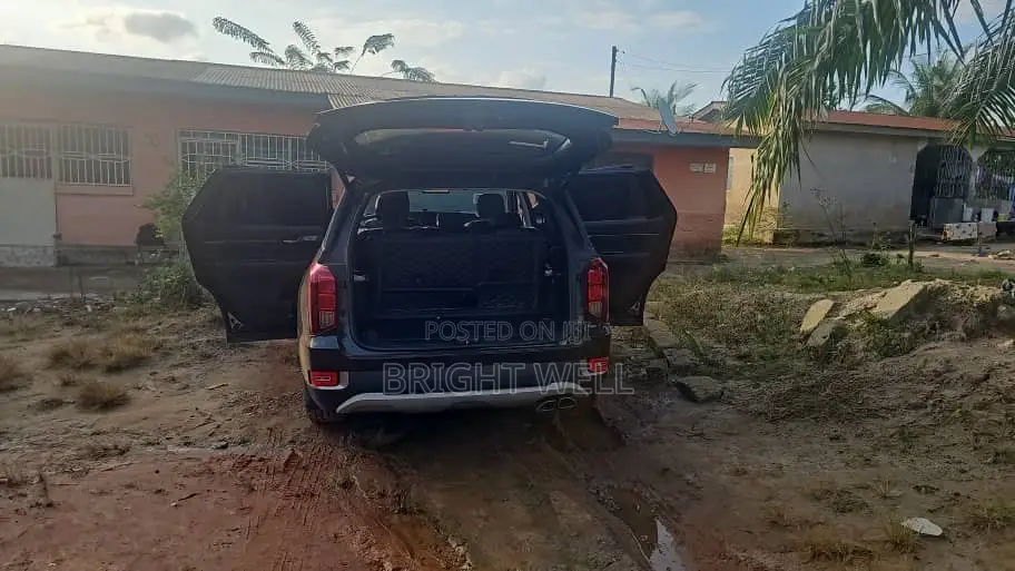 Hyundai Palisade 2020 Black