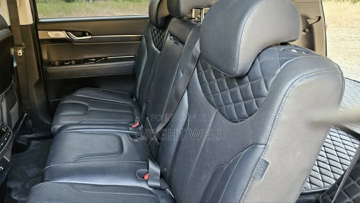 Hyundai Palisade 2020 Black