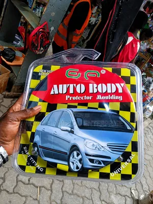 Auto Body Protector Moulding – Universal Car Door Guard