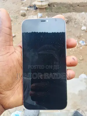 Apple iPhone 12 Pro Max 256 GB White