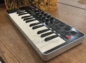 Samson Graphite M25 Mini USB MIDI Controller