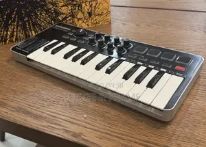 Samson Graphite M25 Mini USB MIDI Controller