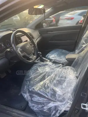 Hyundai Elantra 2018 Gray