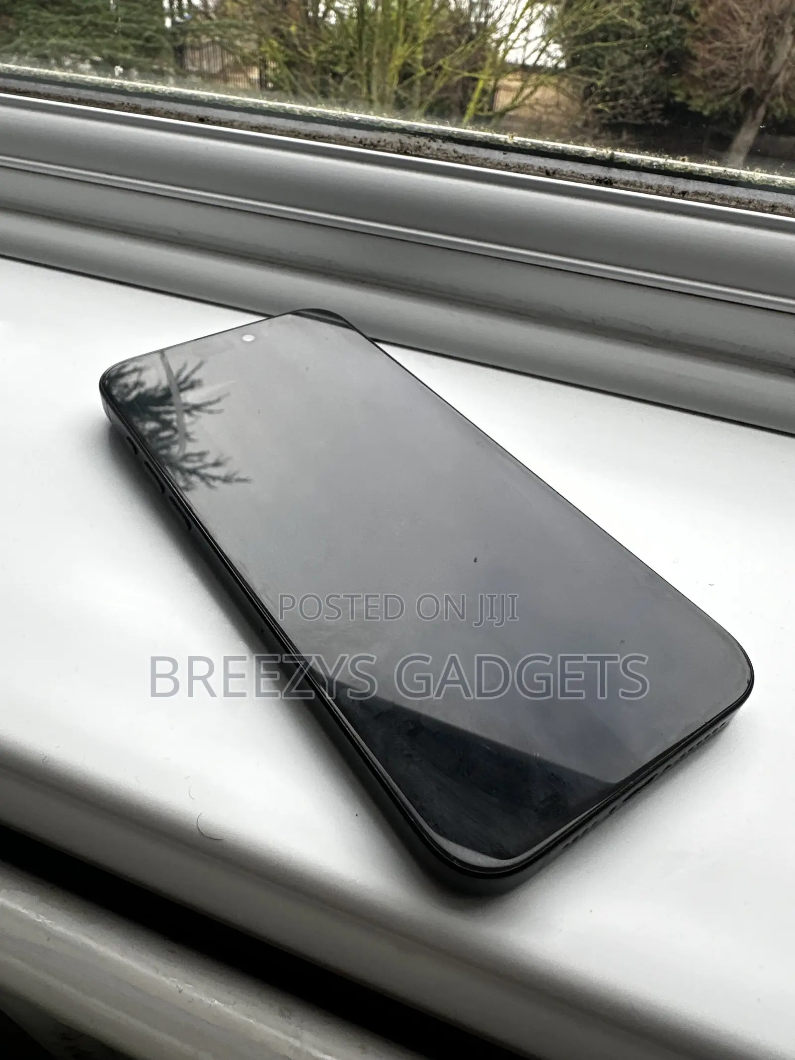 Apple iPhone 15 Pro Max 256 GB Blue
