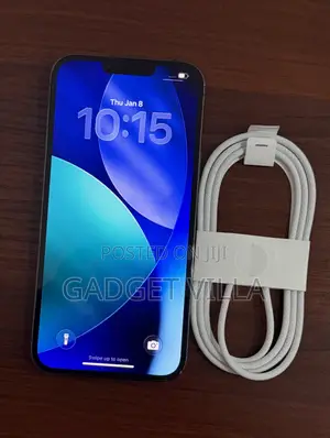 Apple iPhone 13 Pro Max 1 TB Gray